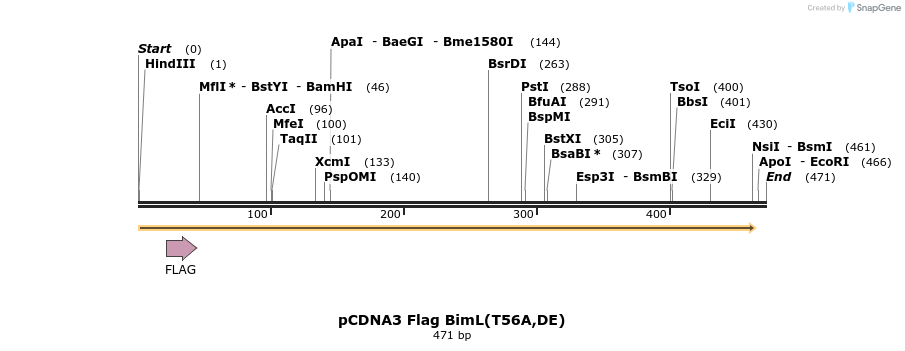 11559_map