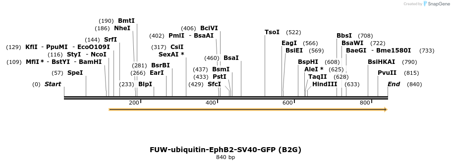 115592_map