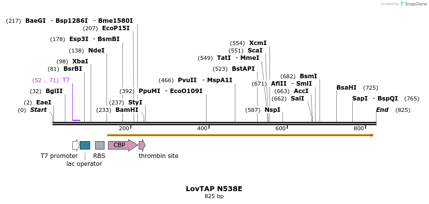 115595_map