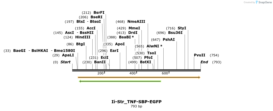 115596_map