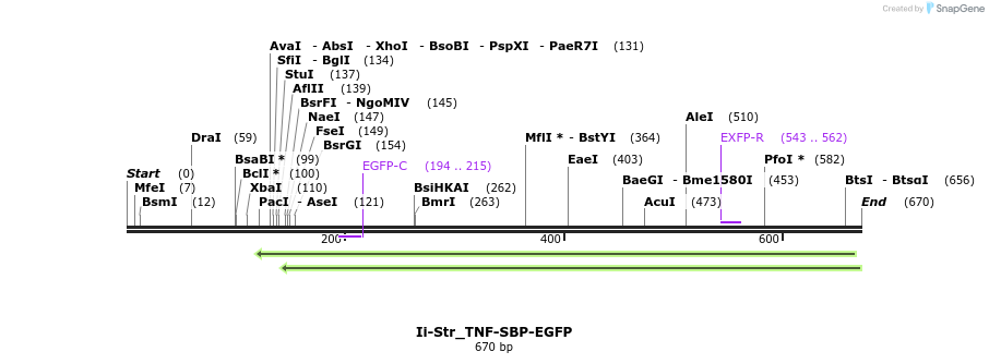 115597_map