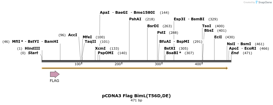 11560_map