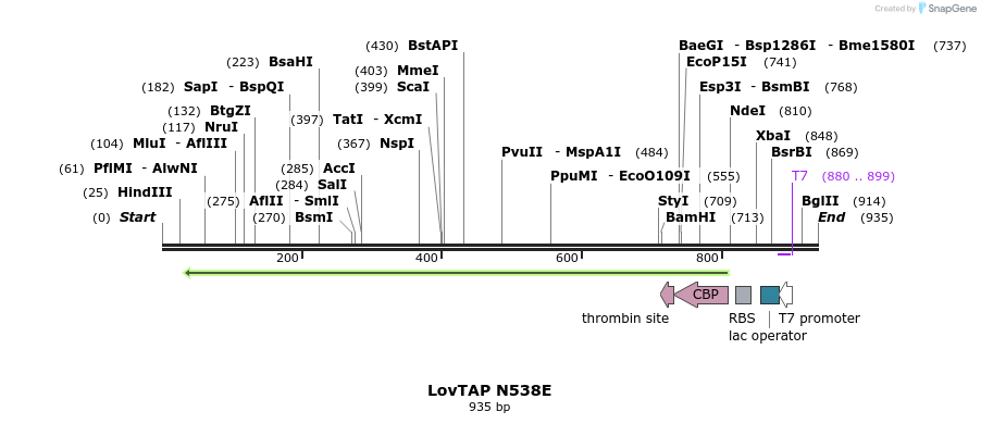 115607_map