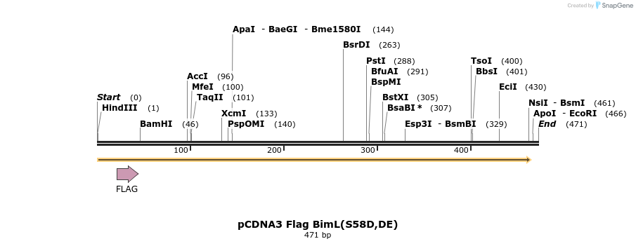 11561_map