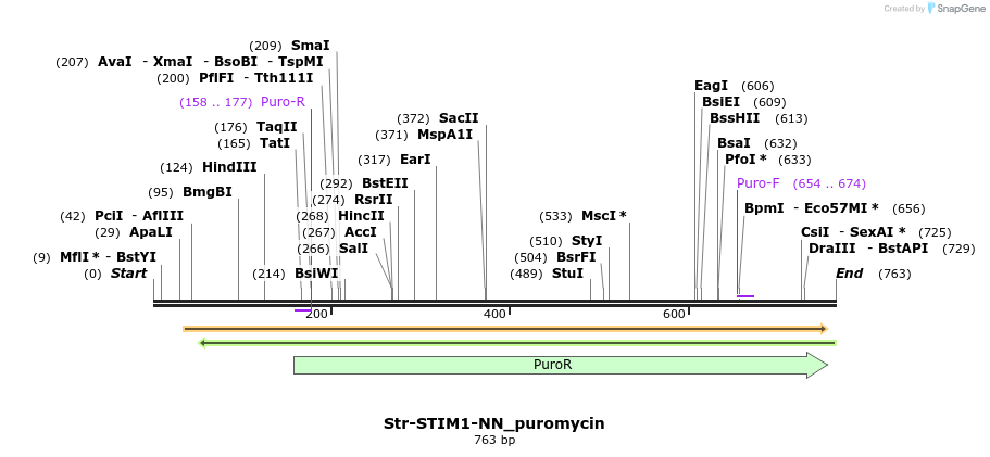 115612_map