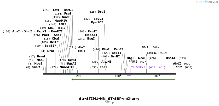 115615_map