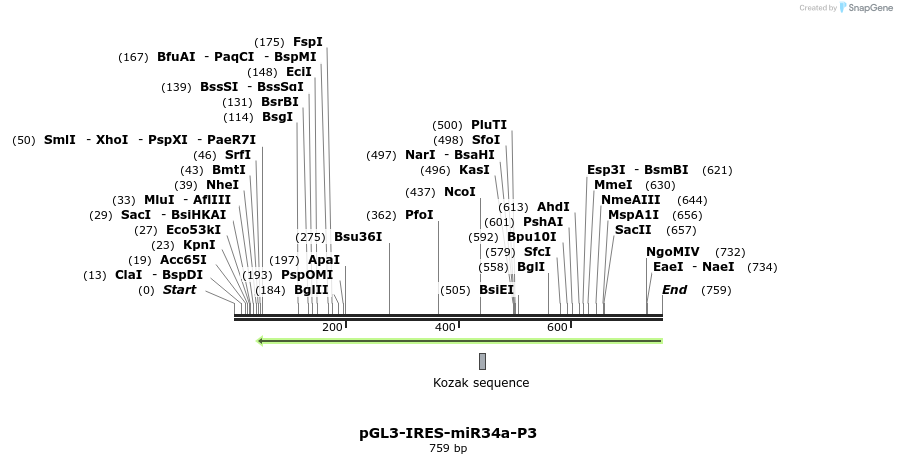 115616_map