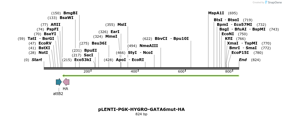 115619_map