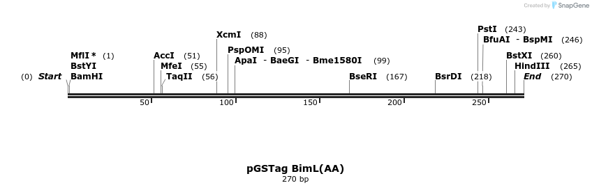 11562_map
