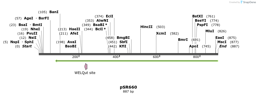 115621_map