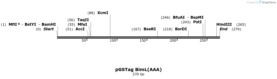 11563_map