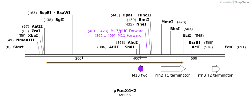 115633_map