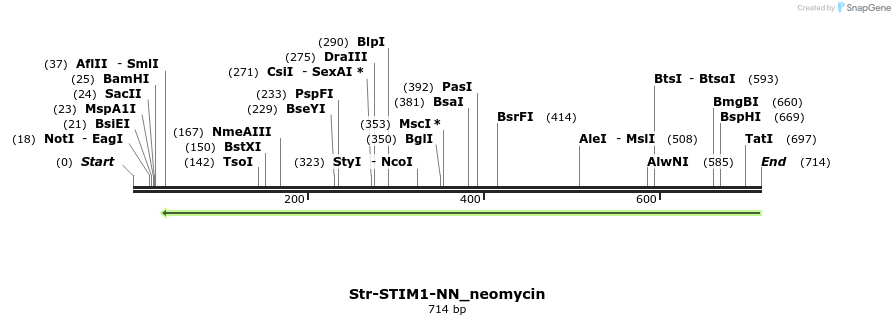 115634_map