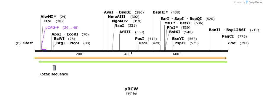 115636_map