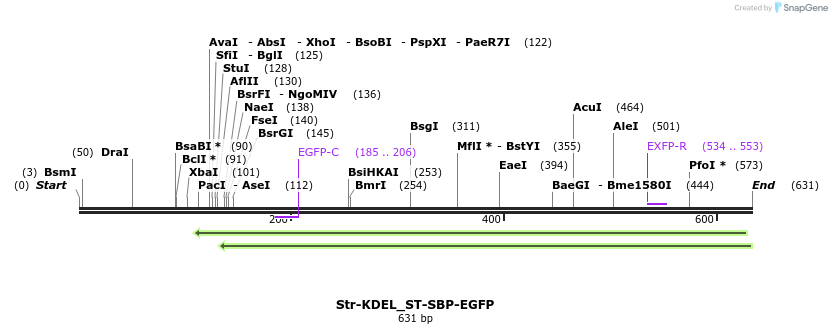 115648_map