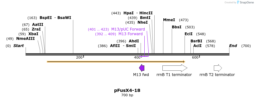 115652_map