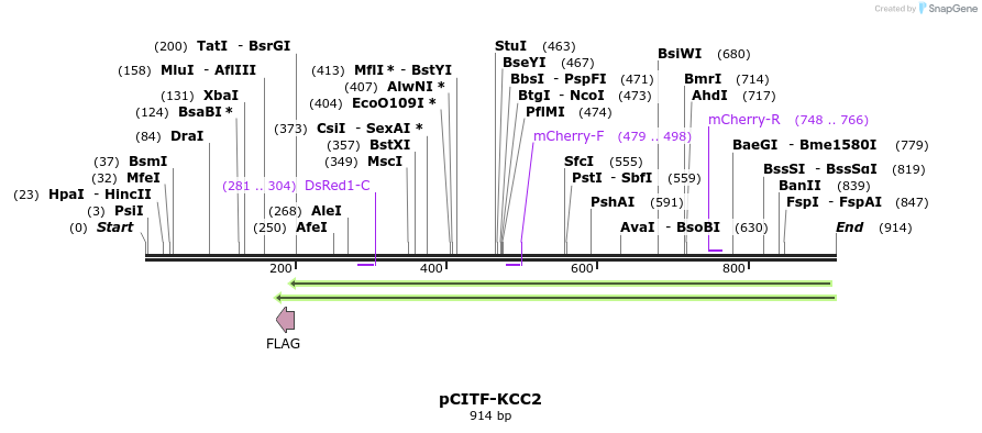 115661_map