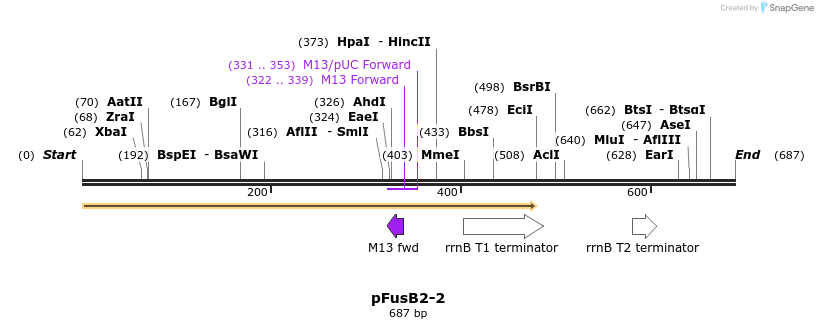 115667_map