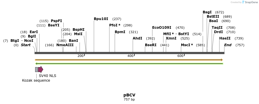 115682_map