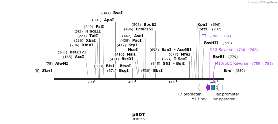 115697_map