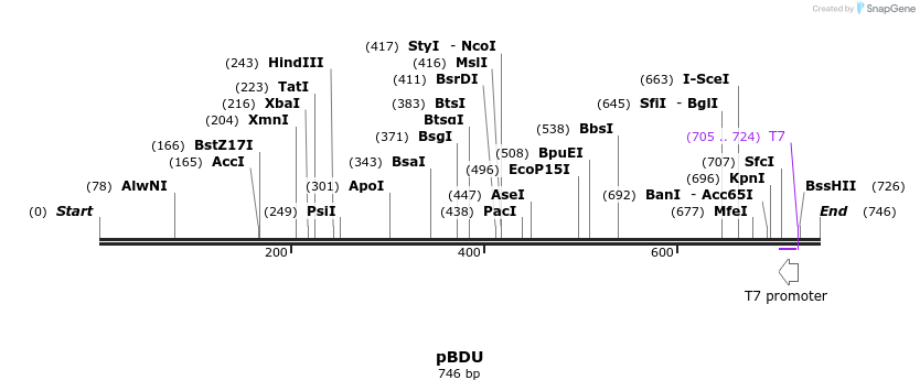 115705_map