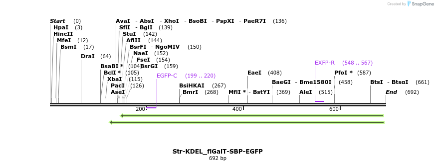 115708_map