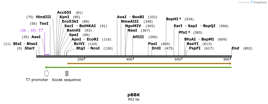 115710_map