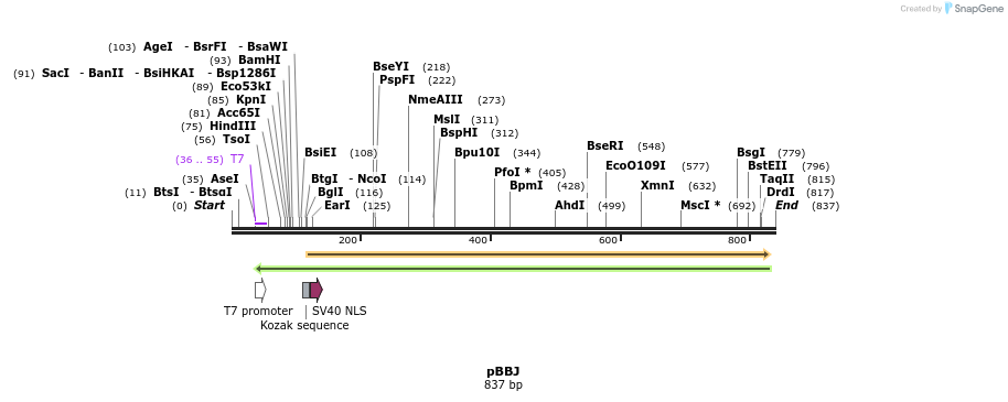 115713_map