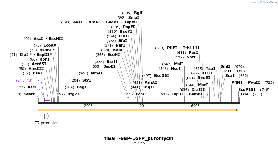 115717_map