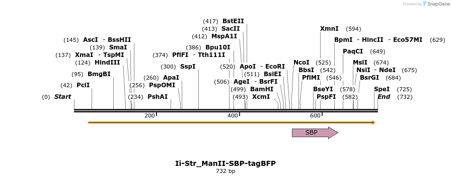 115732_map