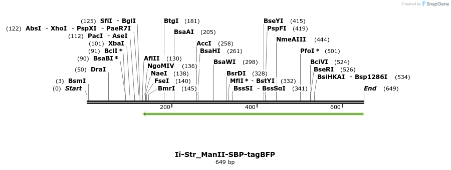115733_map