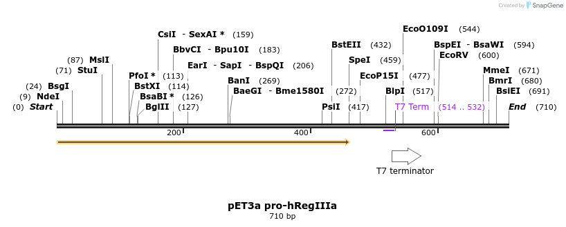 115741_map
