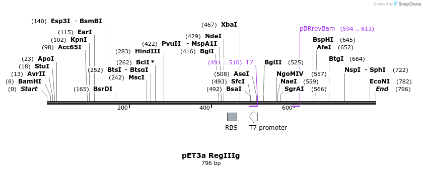 115747_map