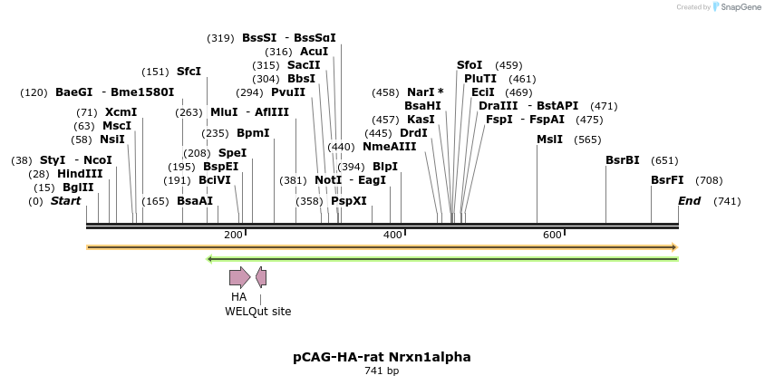 115748_map