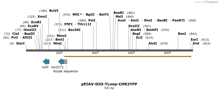 115759_map