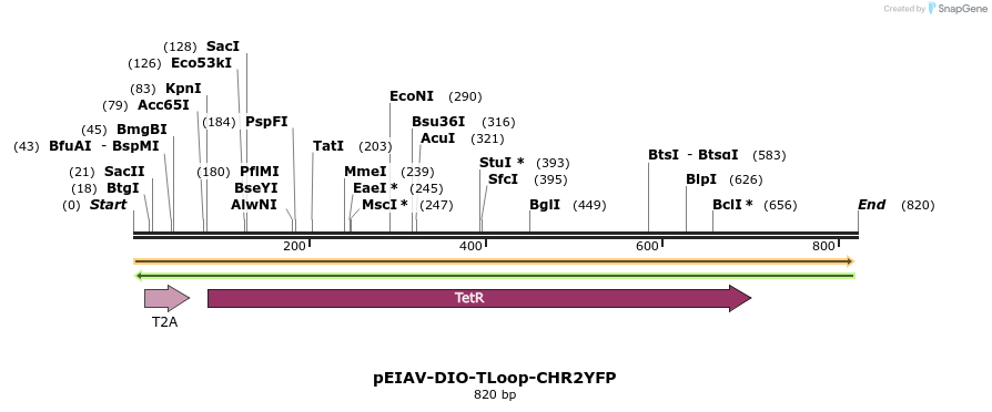 115760_map