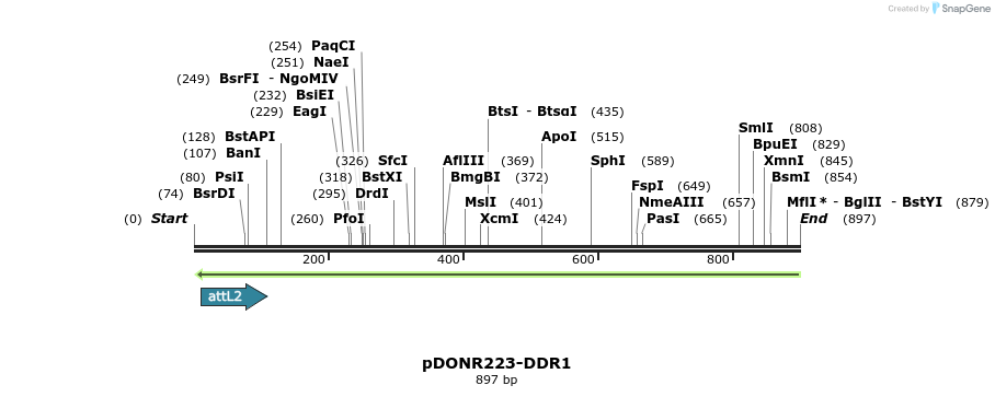 115761_map
