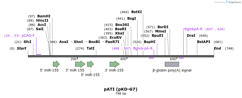 115767_map