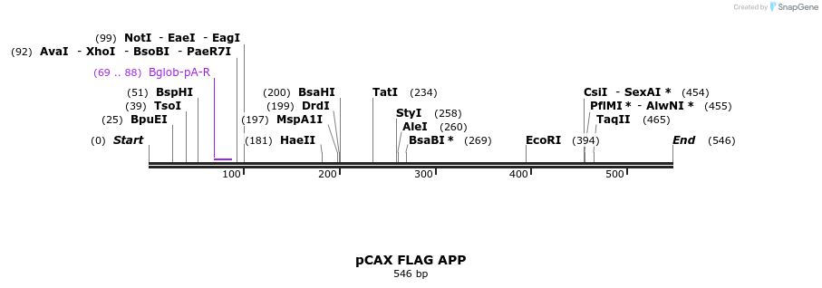 115778_map