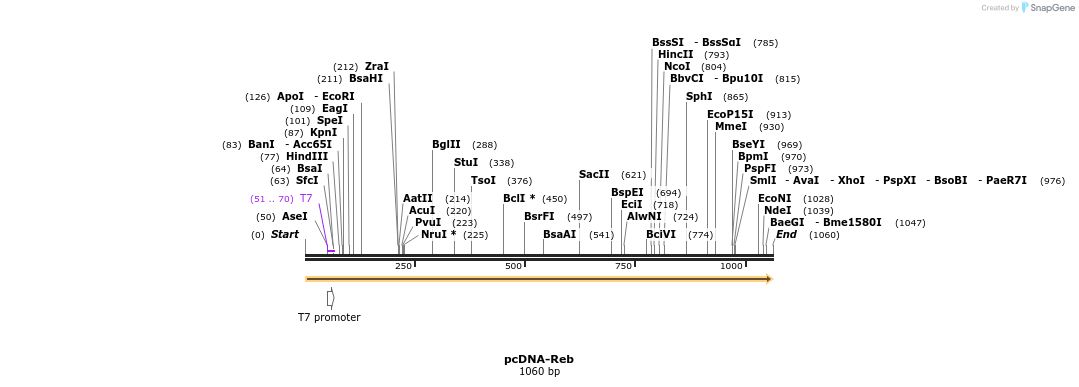 115789_map