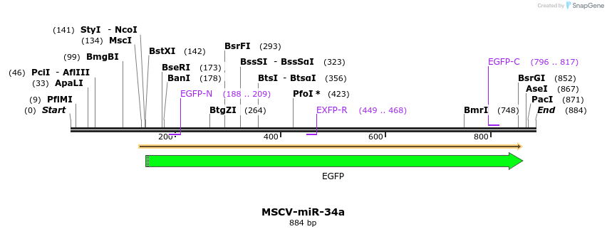 115790_map