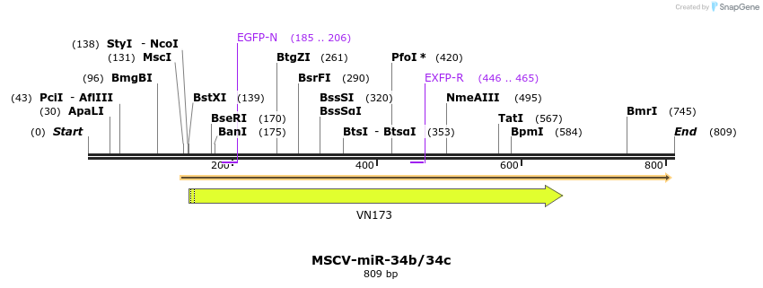 115798_map