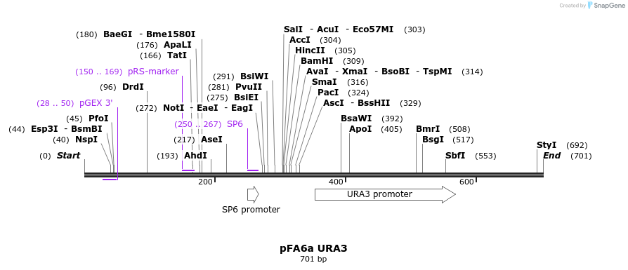 115801_map