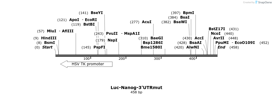 115809_map