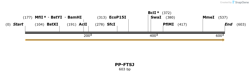 11581_map