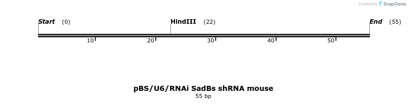 115814_map