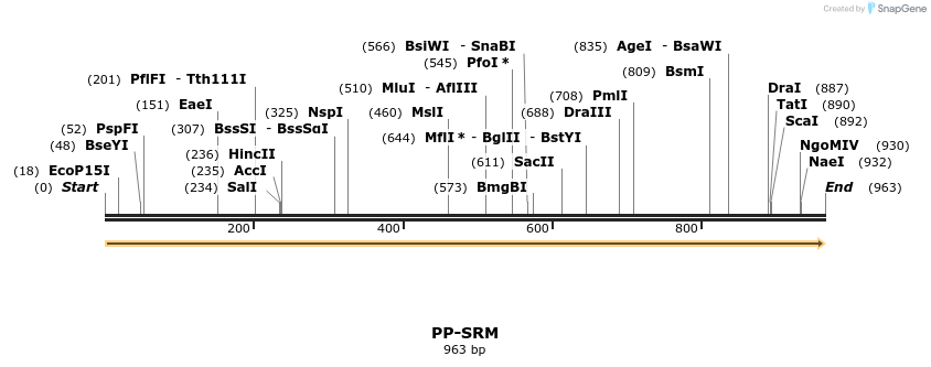 11584_map