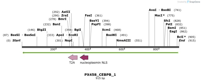 115846_map