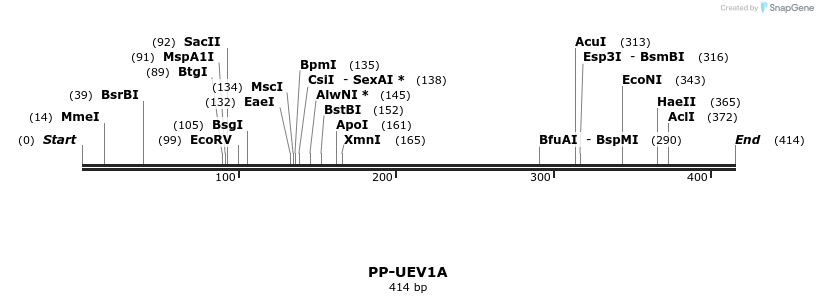 11585_map