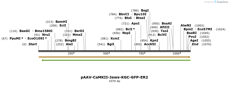 115857_map